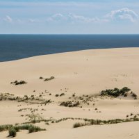 Песчаные дюны Балтики. :: Яна 