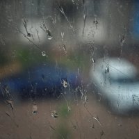 Дождь :: Ольга Мальцева