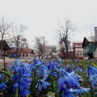 Весна на Орловской улице :: Peripatetik 