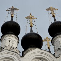 Купола церкви в Муроме :: Елена Данилина
