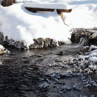 К истокам Хопра :: Александр Еремин