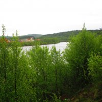река Тулома,Мурманская область :: Людмила Жердева
