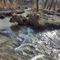 Бурная весна :: Денис Масленников