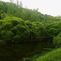 Смотрятся скромно на водную гладь... :: Николай Дони