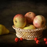 Так много яблок и одна груша :: Галина Galyazlatotsvet
