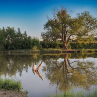 Приток реки Цны. :: Александр Селезнев