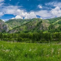 Summer, Altai Mountains :: Sergey Oslopov 