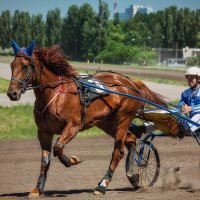 ---- :: Cергей Степанов 