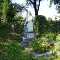 Старое  кладбище  в  Коломые :: Андрей  Васильевич Коляскин