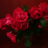 Розы... :: евгения 