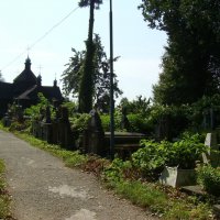 Старое  кладбище  в  Коломые :: Андрей  Васильевич Коляскин