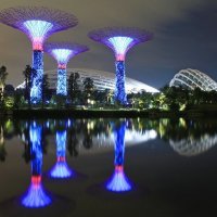 Singapore NightMushrooms :: Евгений Землянухин