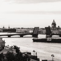 Нева и мосты :: Антон Рыбкин