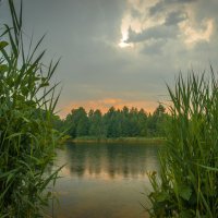 Озеро в лесу :: Юрий Кулаков
