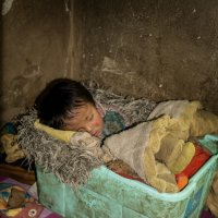 Тибетский малыш :: Анастасия Безуглая