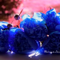 Синие пионы :: Mariya laimite