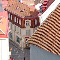 Вид на таллинские крыши со смотровой площадки :: Олег Попков