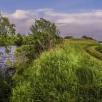 Перед грозой :: Лилия Гиндулина