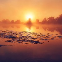 Туманный рассвет на реке Дубна. :: Дмитрий Постников