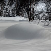Шапка снега. :: Олег Петрушин