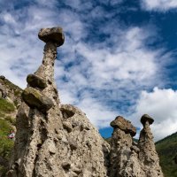 Каменные грибы :: Александр Решетников