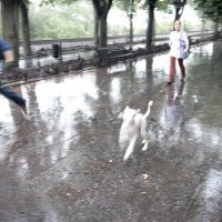 Дождь в Одессе. :: Юрий Филоненко