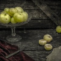 Still life... :: Роман Шафовал 