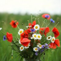Букетик скромный полевых цветов :: Нилла Шарафан