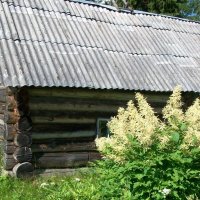 БАНЯ В ДЕРЕВНЕ :: Виктор Елисеев