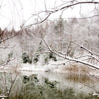 зима :: Анастасия Долгополова