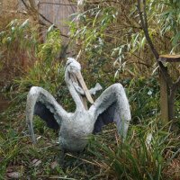 Скульптура пеликана :: Natalia Harries