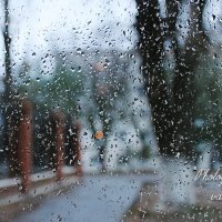 Дождь на стекле :: Валерий Лазарев