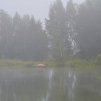туман на пруду :: Александр С.