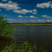 Царёвка,Ростовская обл. :: Ольга Штанько