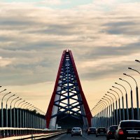 Бугринский мост. Новосибирск :: Наталья Солнышко
