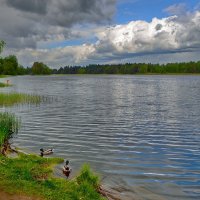 Озеро Валдай. :: kolin marsh