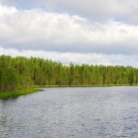 Озеро в Карелии. :: Ирина Нафаня