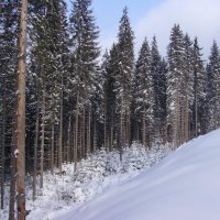 Буковель :: Андрей  Васильевич Коляскин