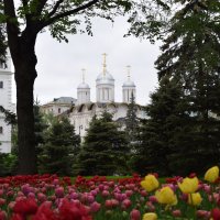 Кремлёвские пейзажи мая :: Андрей 