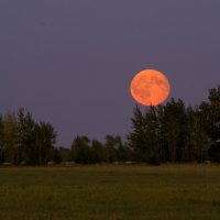 восход Луны :: Евгения Порядина