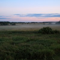Вечерний туман в долине р.Шерна :: Анатолий Мамичев