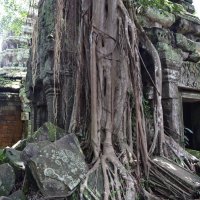 Камбоджа, храм "Та Пром" :: Андрей 