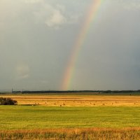 После дождя... :: Галина Шепелева