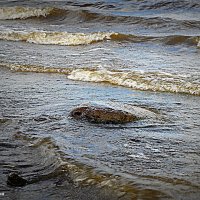 Волны на Угличском водохранилище :: Полина Бесчастнова