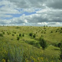 Древняя балка. В лугах. :: Юрий Воронов