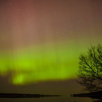 Aurora borealis. Северное сияние над Ригой 2015 :: Ольга Блум