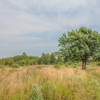 За городом :: Олег Гаврилов