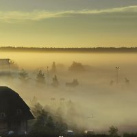 Утренний туман в Литве... :: Alex S.