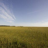 А что там, за горизонтом? :: Владимир Левый