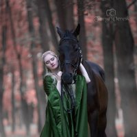 Девушка и конь :: Таня Вереск